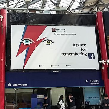 Spotted – Bowie Illustration